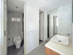 Tanjong Pagar Conservation Area (D2), Shop House #557753671
